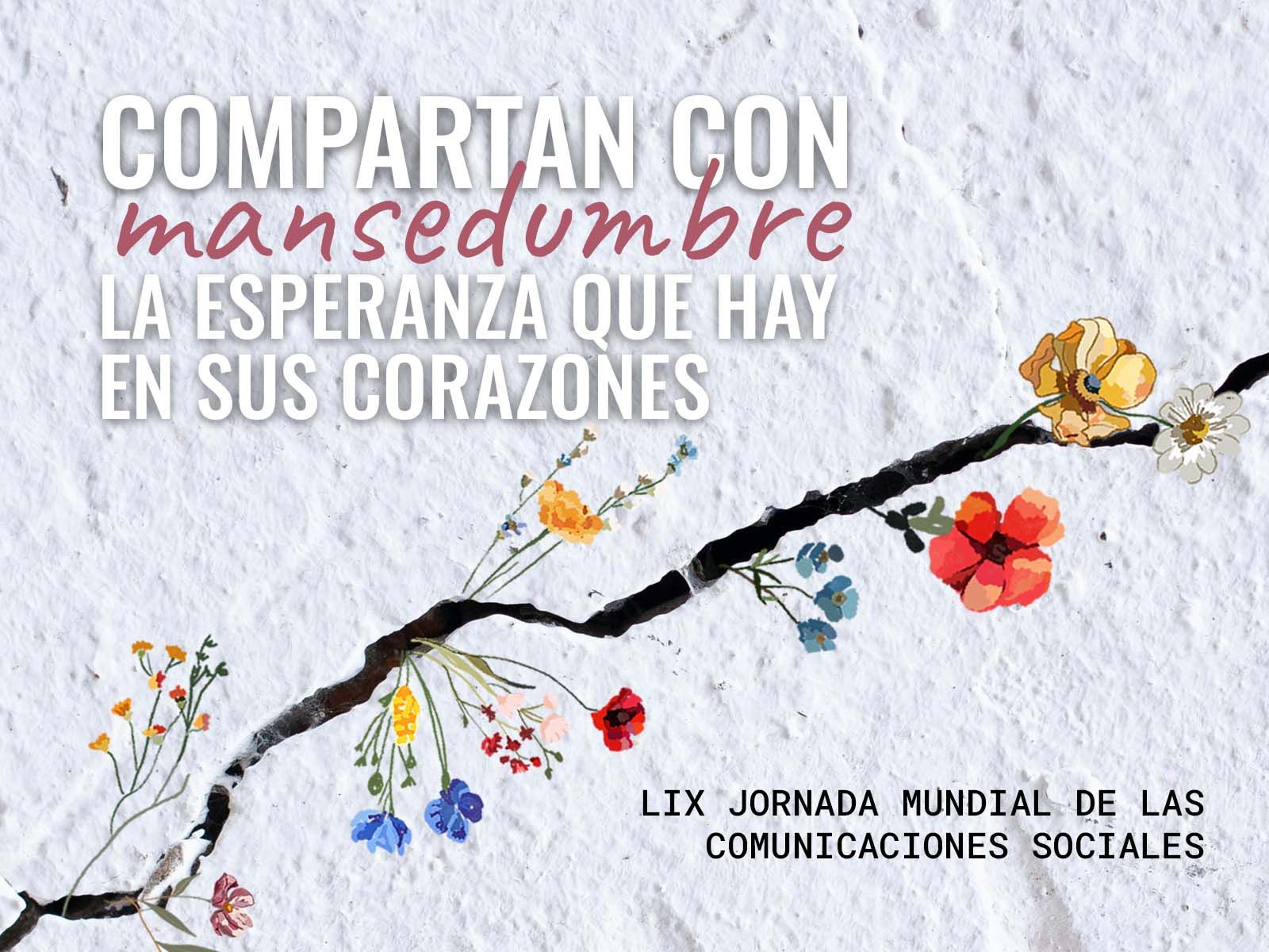 En este momento estás viendo Materiales divulgativos para la Jornada Mundial de las Comunicaciones Sociales 2025